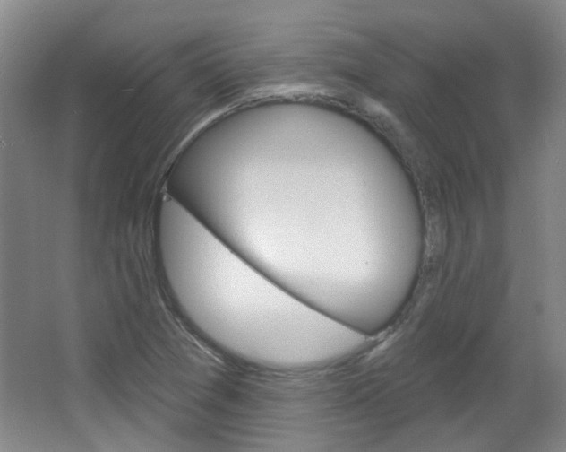 X0000064761361200602101017
