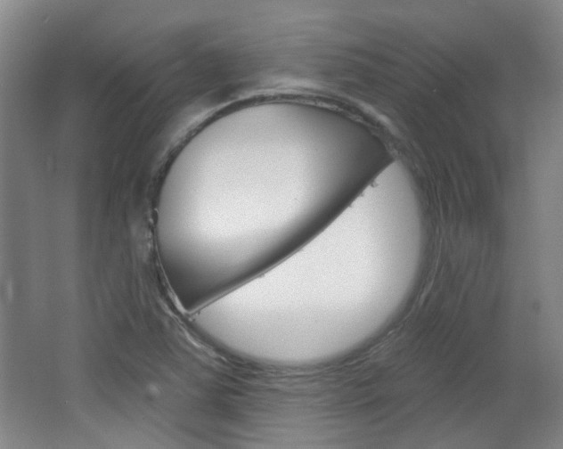 X0000064761363200602101017