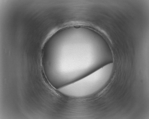 X0000064761365200602101017