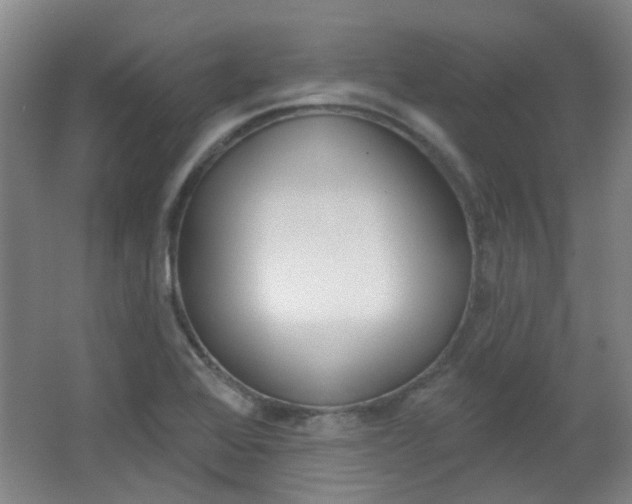 X0000064761368200602101016