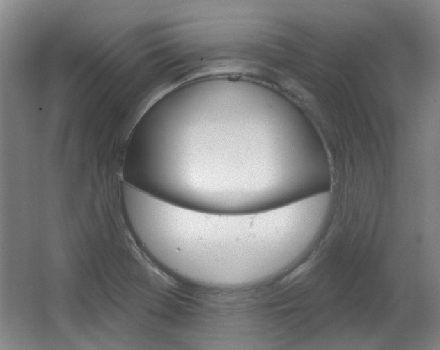 X0000064761369200602101016
