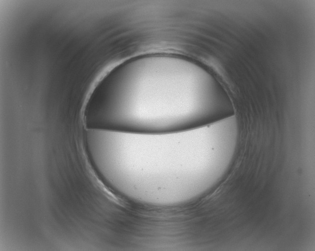 X0000064761371200602101016