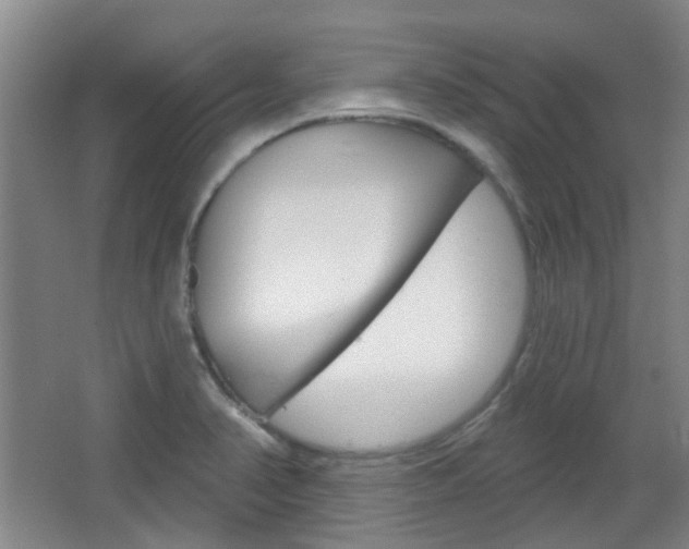 X0000064761374200602101016
