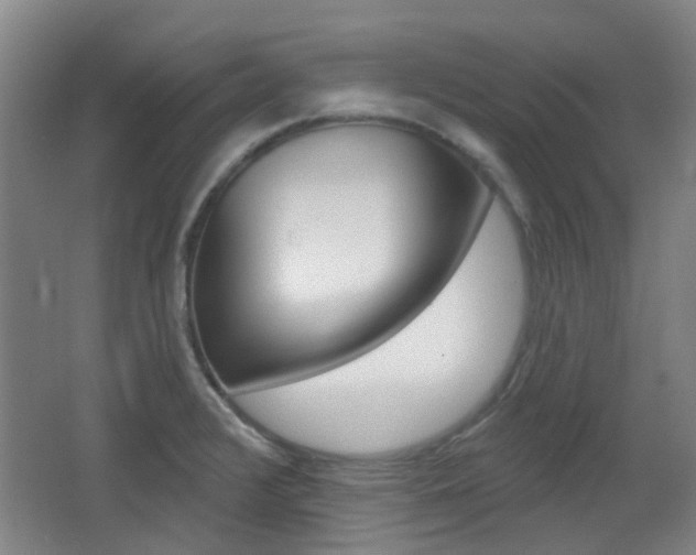 X0000064761376200602101016