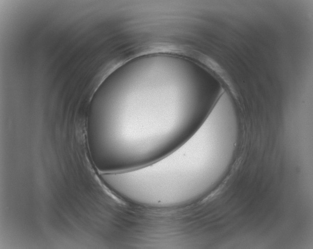X0000064761377200602101016