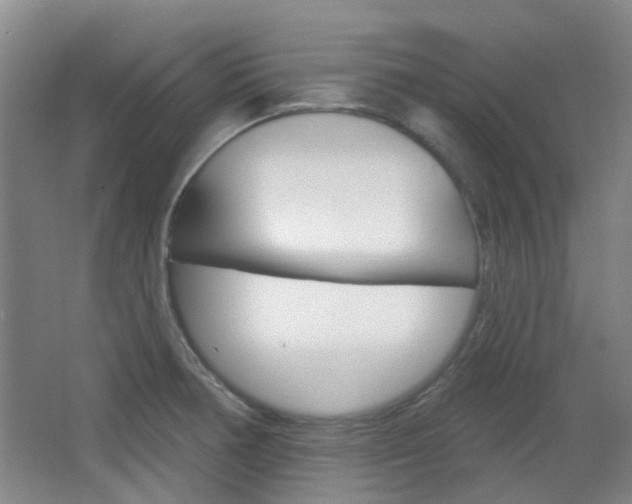 X0000064761378200602101016