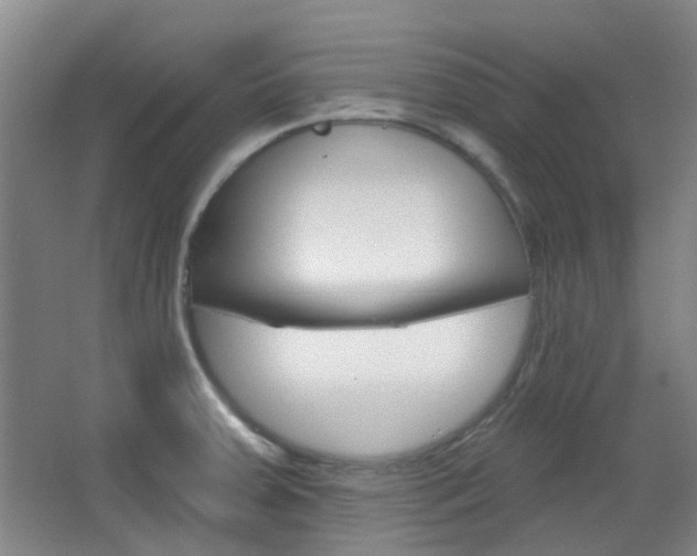 X0000064761379200602101016