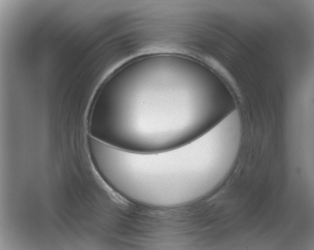 X0000064761380200602101016