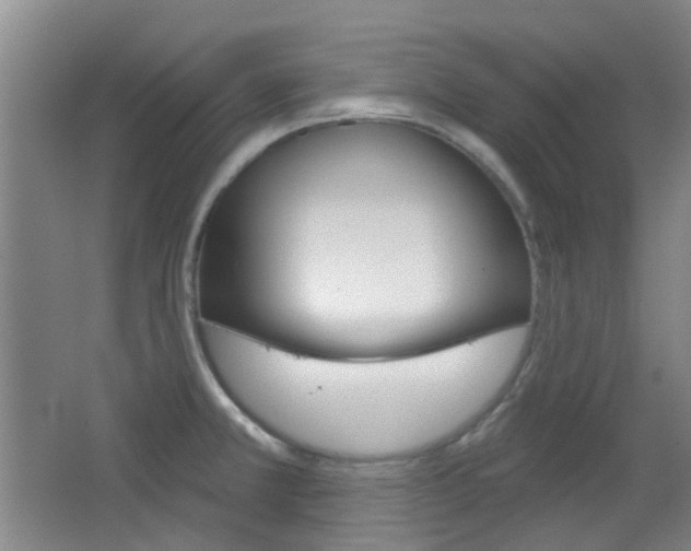 X0000064761381200602101016