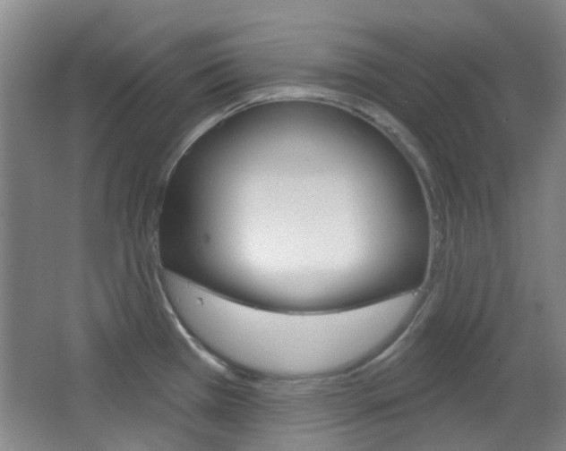 X0000064761385200602101016