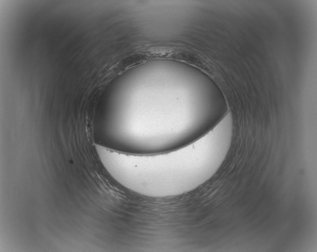 X0000064761394200602101015