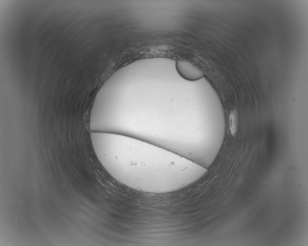 X0000064761395200602101015