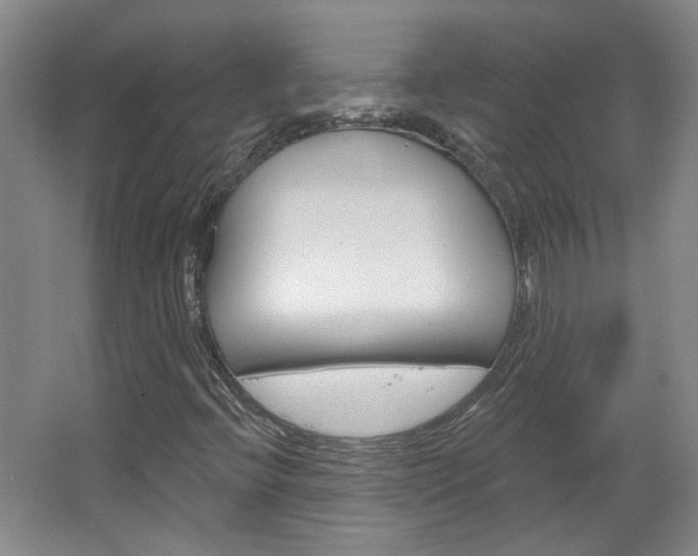 X0000064761396200602101015