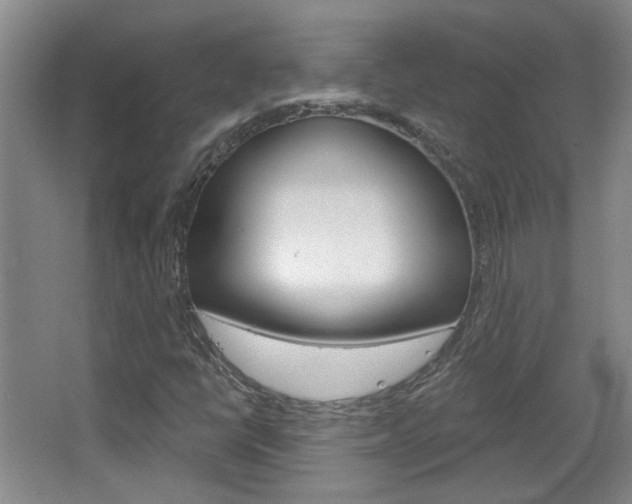 X0000064761398200602101015
