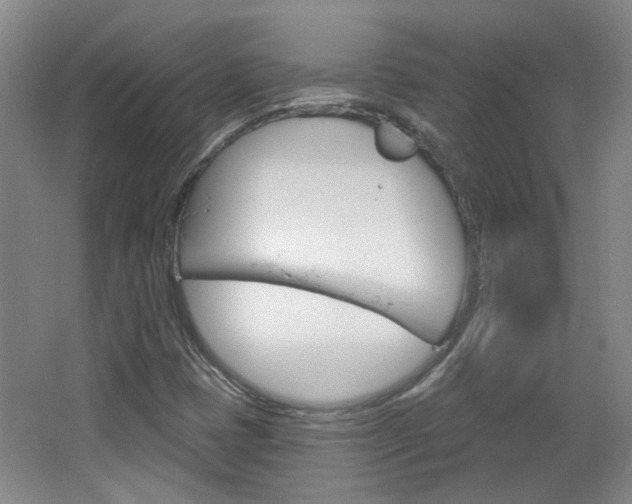 X0000064761401200602101015
