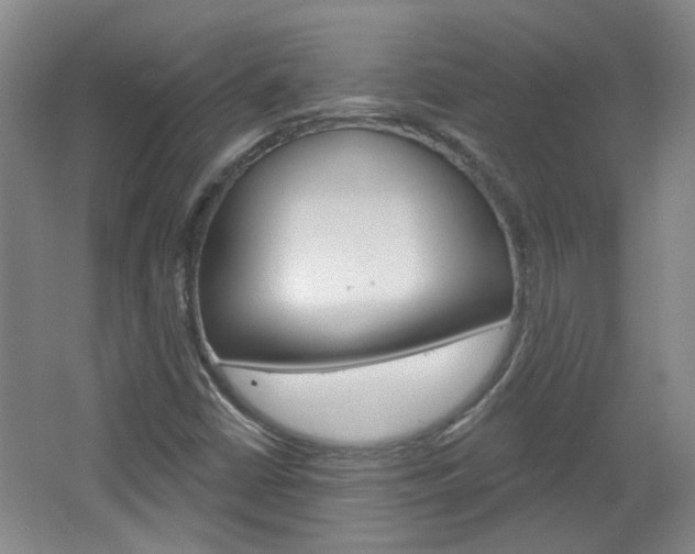 X0000064761402200602101015