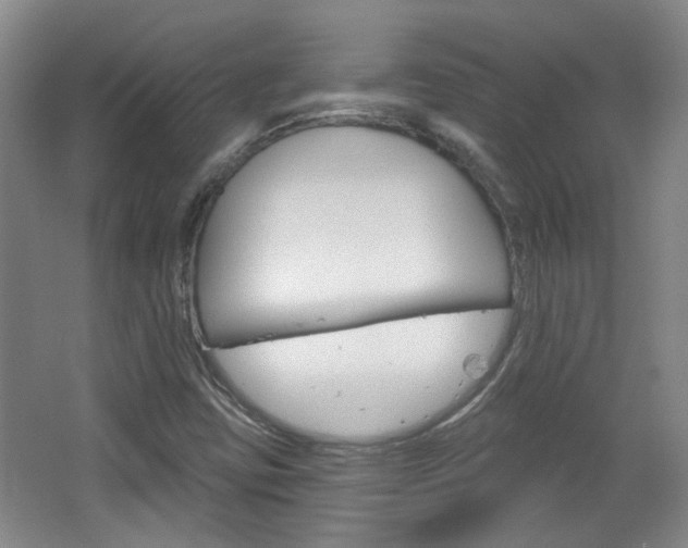 X0000064761403200602101015