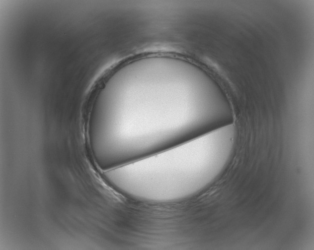 X0000064761408200602101016