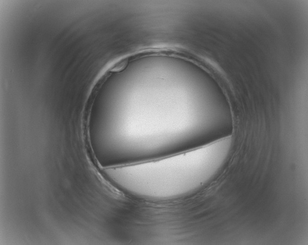 X0000064761412200602101016