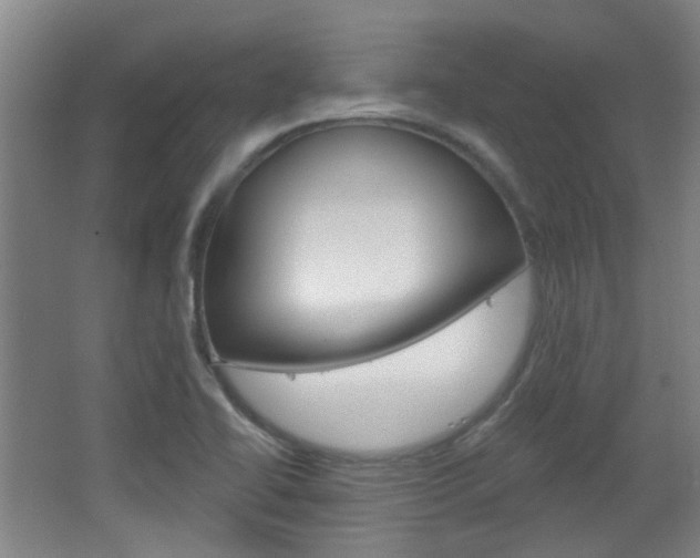 X0000064761414200602101016