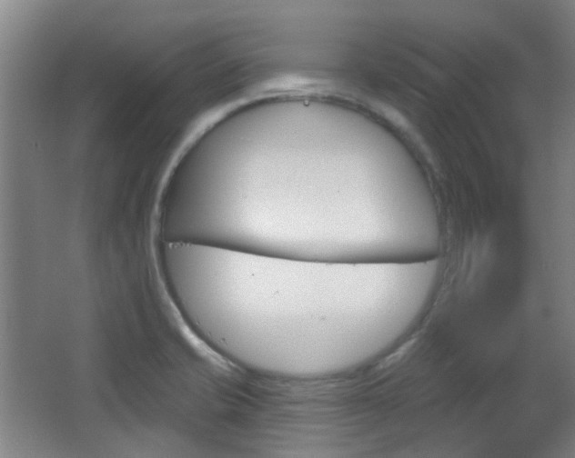 X0000064761421200602101016