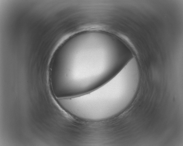 X0000064761424200602101016