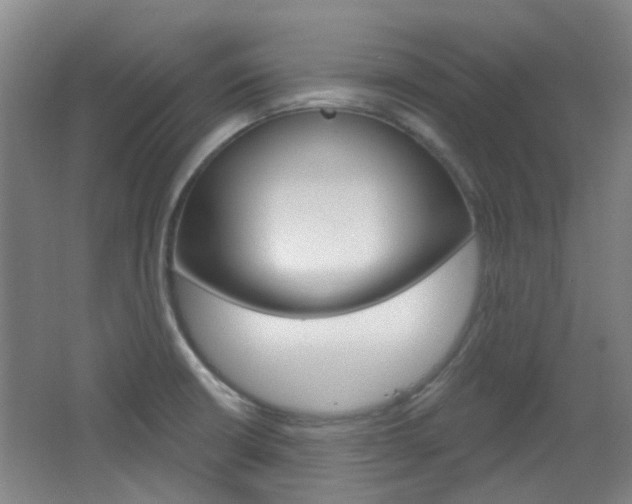 X0000064761426200602101016