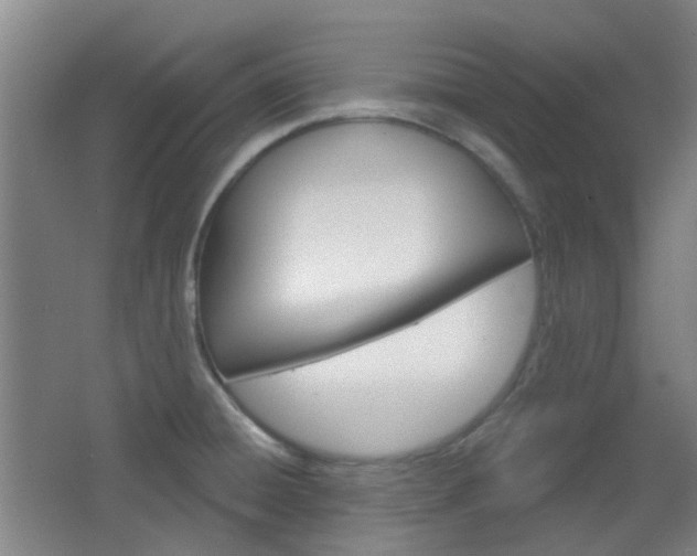 X0000064761428200602101016