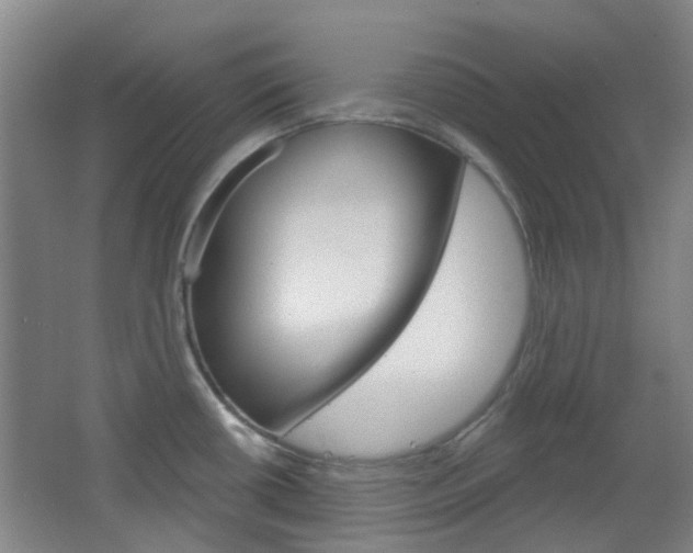 X0000064761434200602101016