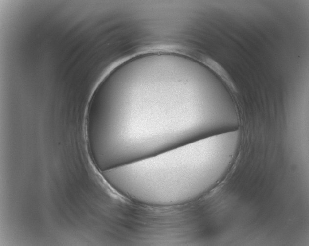 X0000064761436200602101016