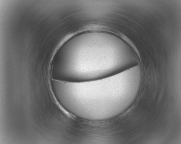 X0000064761437200602101016
