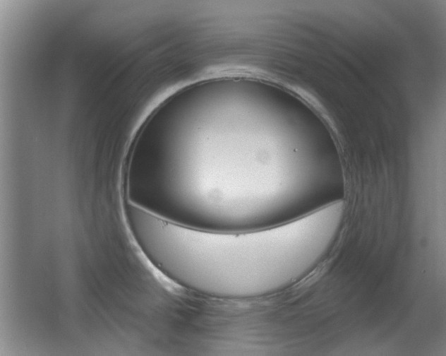 X0000064761438200602101016