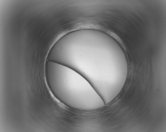 X0000064761439200602101016