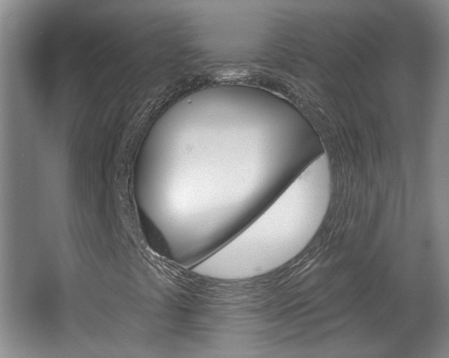 X0000064761441200602101015