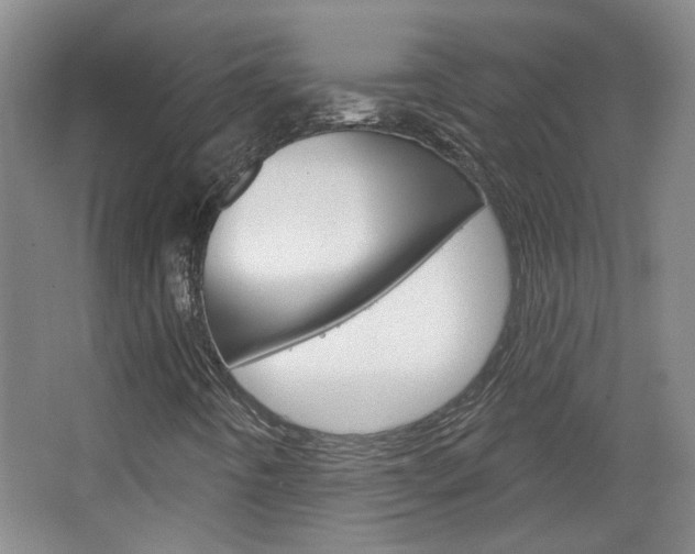 X0000064761442200602101015