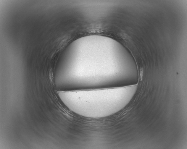 X0000064761444200602101015