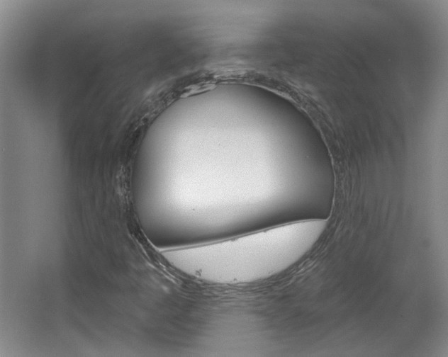 X0000064761445200602101015