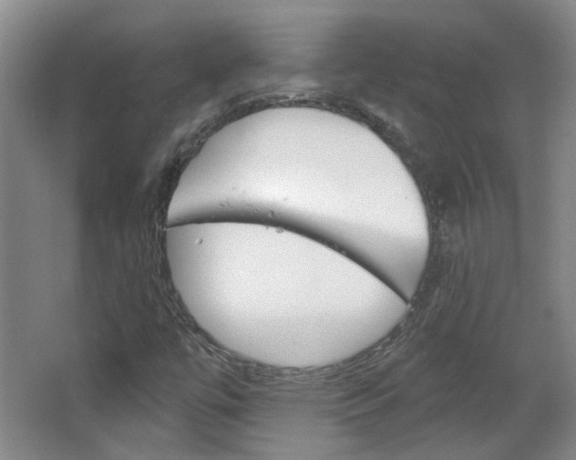 X0000064761447200602101015