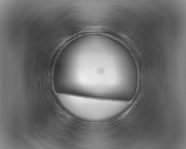 X0000064761449200602101015