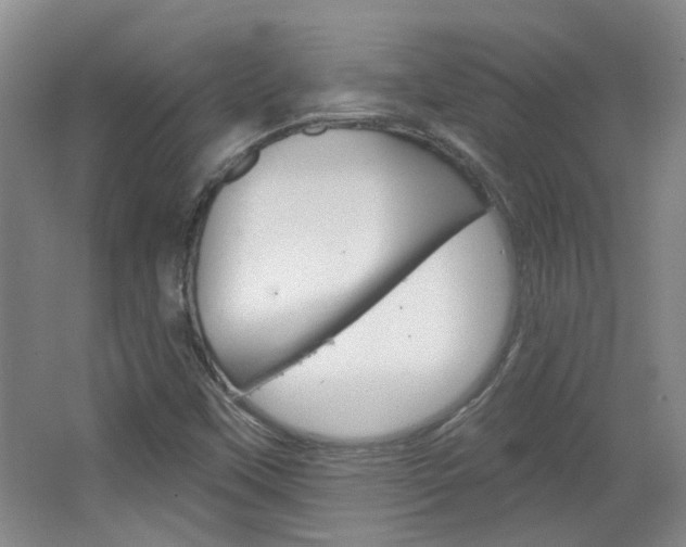 X0000064761451200602101015