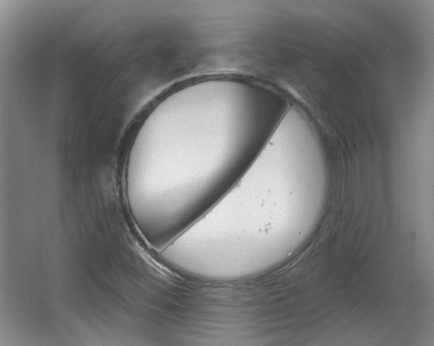 X0000064761452200602101015
