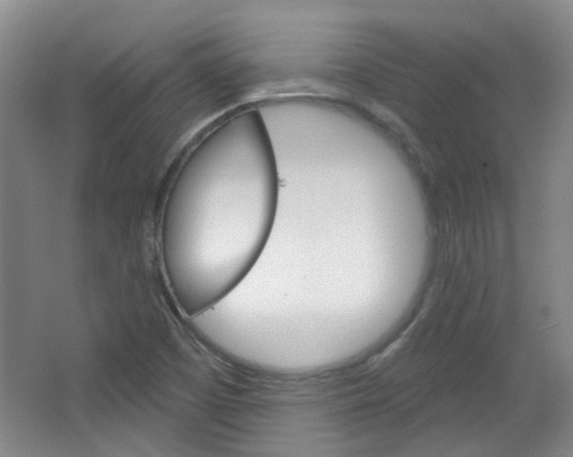 X0000064761457200602101015