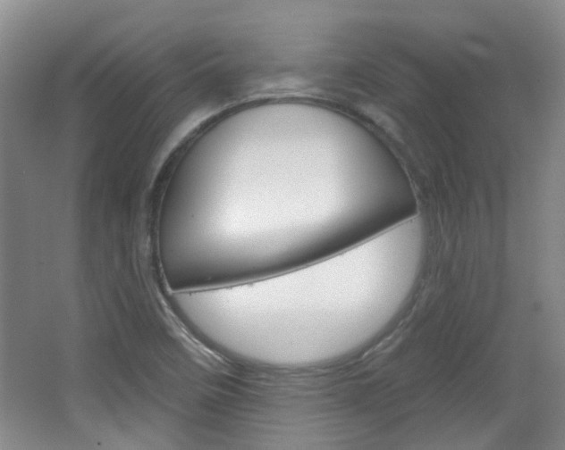 X0000064761458200602101015