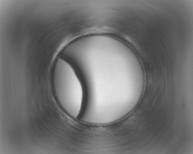 X0000064761459200602101015