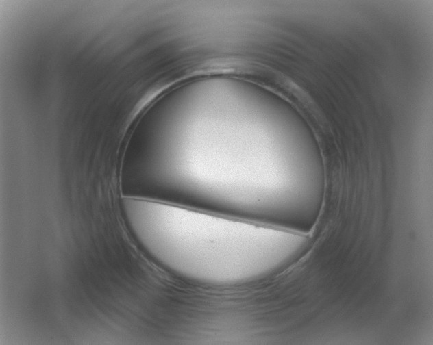 X0000064761465200602101015