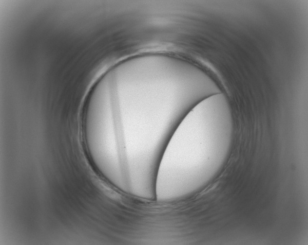 X0000064761467200602101015