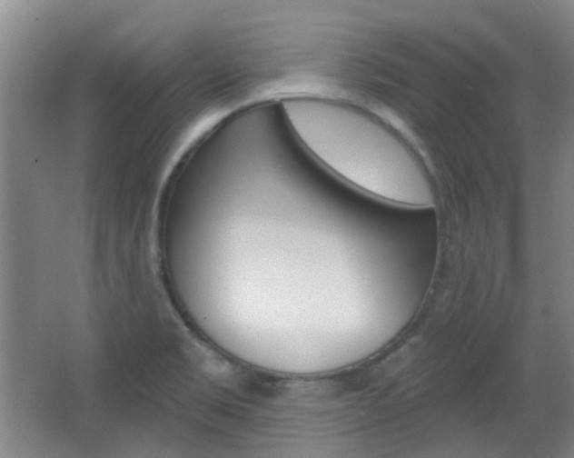 X0000064761469200602101015