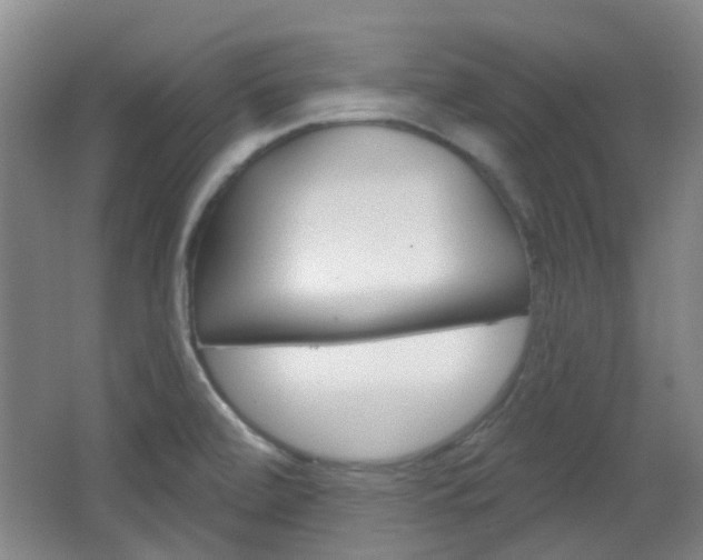 X0000064761472200602101015