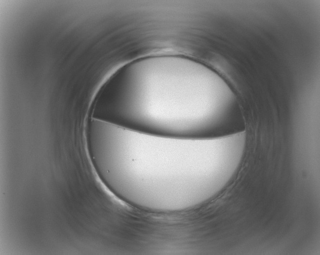 X0000064761476200602101015