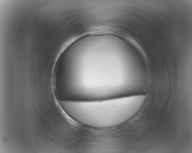 X0000064761485200602101015